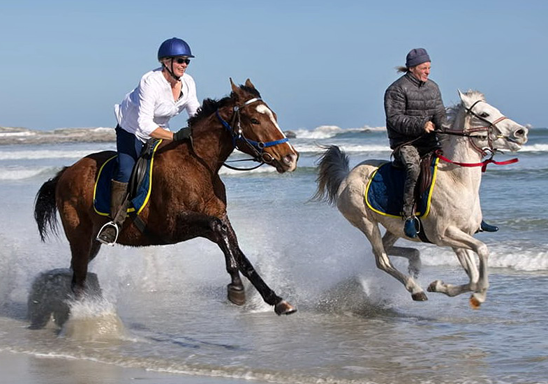 Horse ride