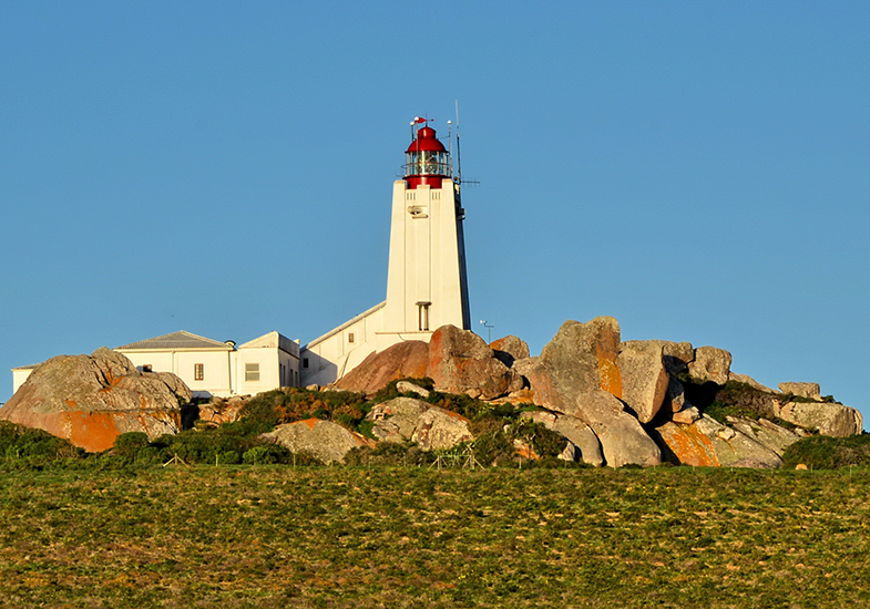 Cape Columbine Nature Reserve